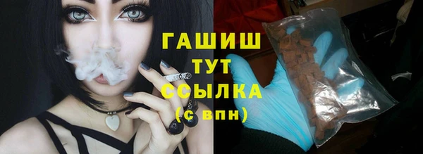 винт Пересвет