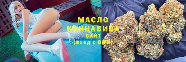 винт Пересвет